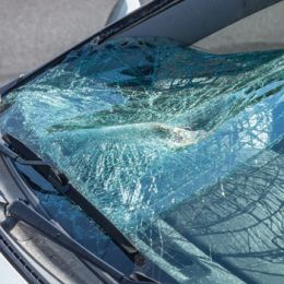 Steps To Take If Your Windscreen Shatters While You Are On The Road