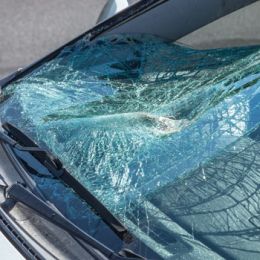 Steps To Take If Your Windscreen Shatters While You Are On The Road